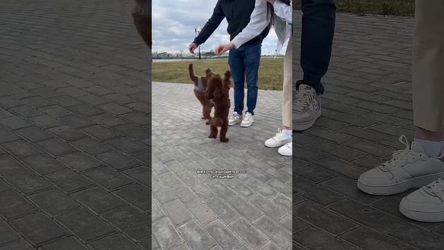 Подписывайтесь!