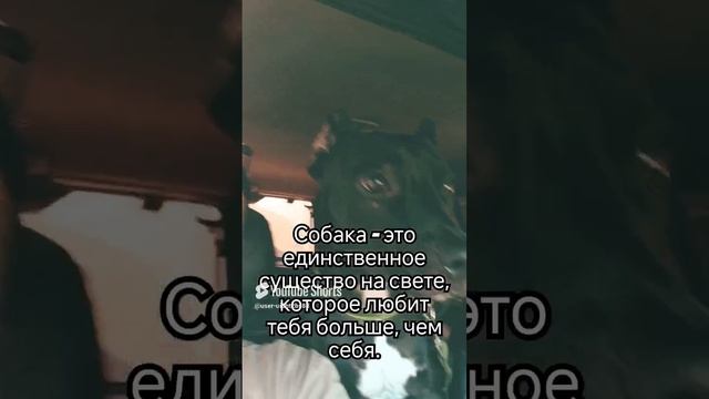 1000197794.mp4