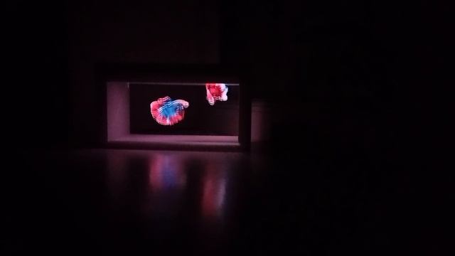 голографический куб, голографический бокс, голографическая коробка