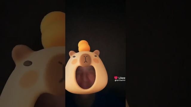 1000028838.mp4