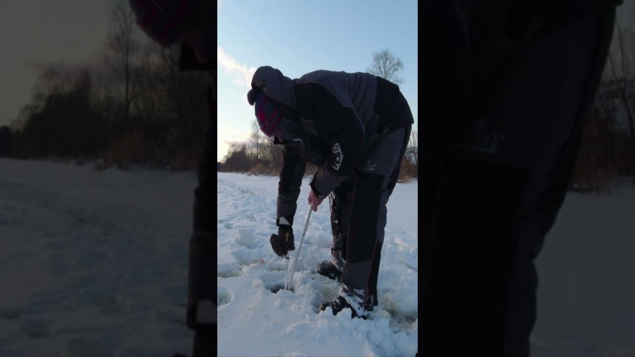 Поймали огромную щуку