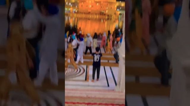 #wmk #darbarsahib #gurbani #satnamwaheguru #gururamdasji #harmindersahib #trending #waheguru #🙏❤️