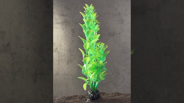 Plant 057-20