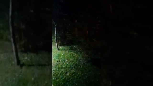 Счастье живет рядом с нами