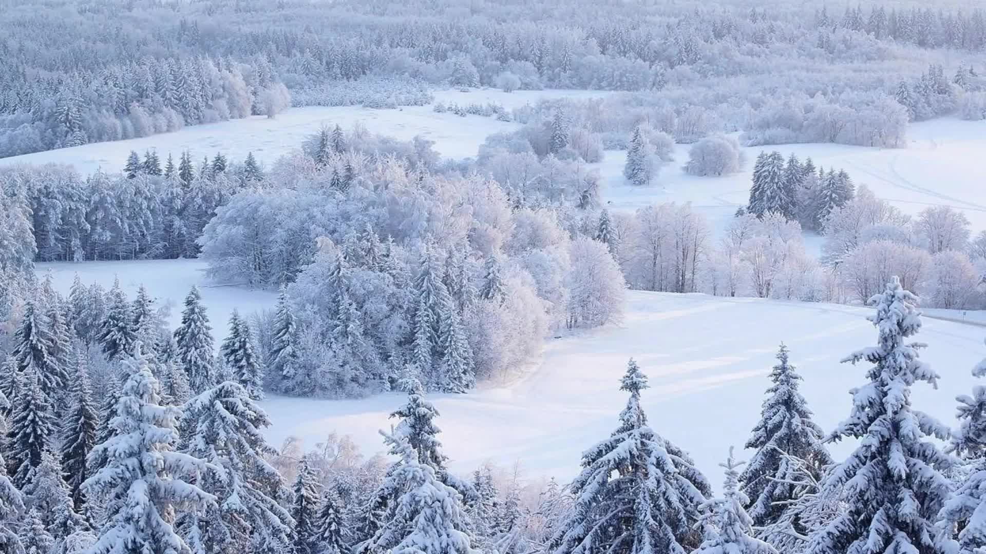 Чат рулетка стрим на канале Недетский разговор