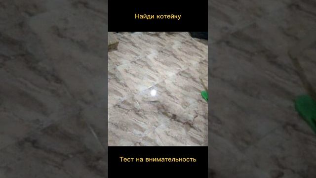 Тест на внимательность