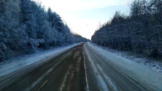 Реальные истории водителя дальнобойщика
