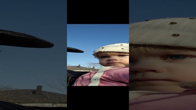 хотели снять фильм про собачку