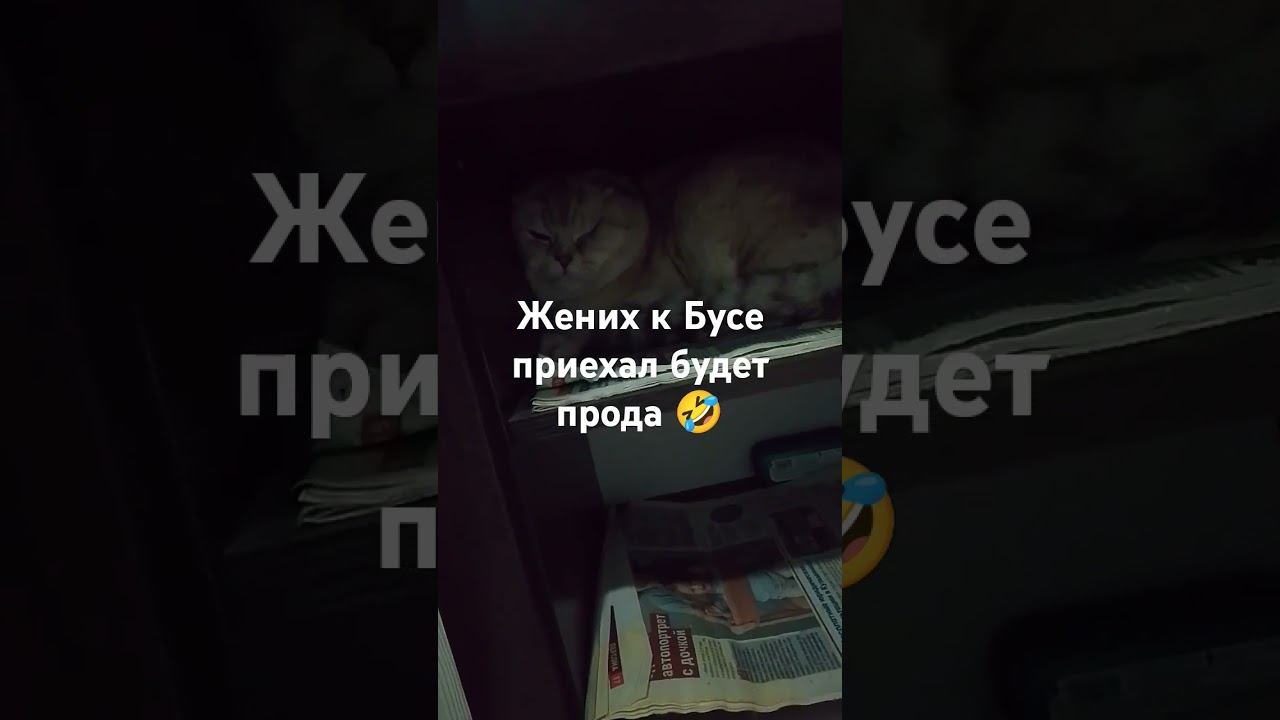 Шотландцы встретились
