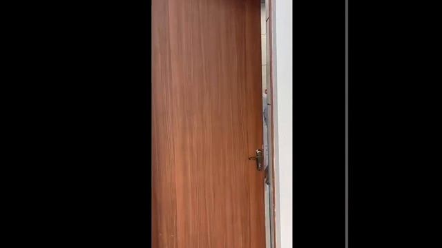 видео3