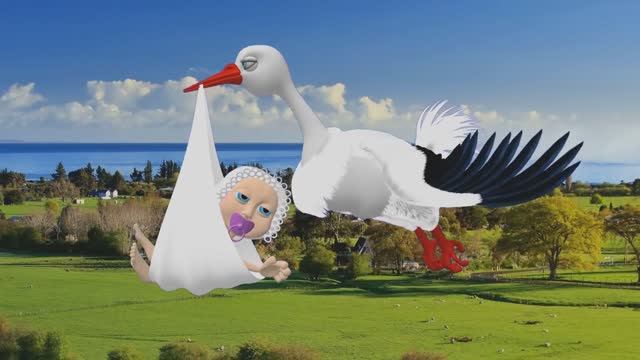 ДЕНЬ РОЖДЕНИЯ !