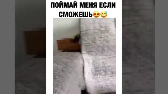 Поймай меня