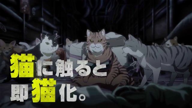 VID_20241207_190847_689.mp4