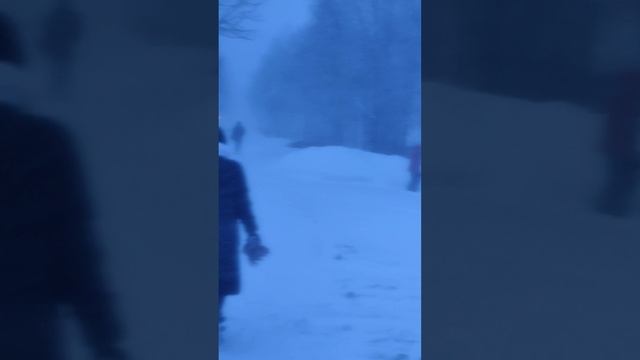 снежный апокалипсис на Кольском полуострове.