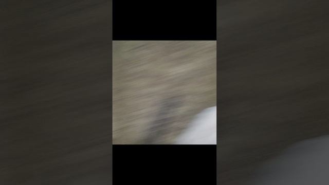 VID_20241210_193409.mp4