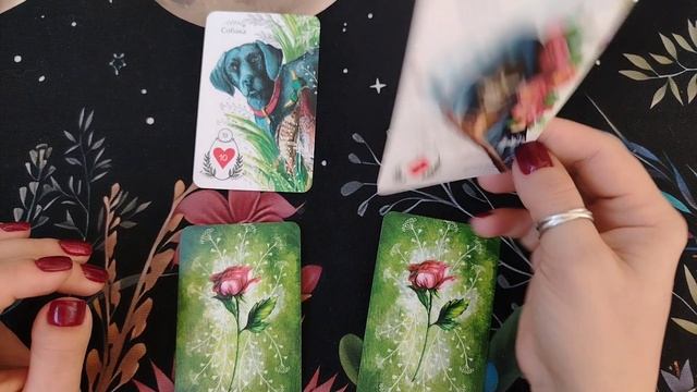 Получится ли задуманное ✨