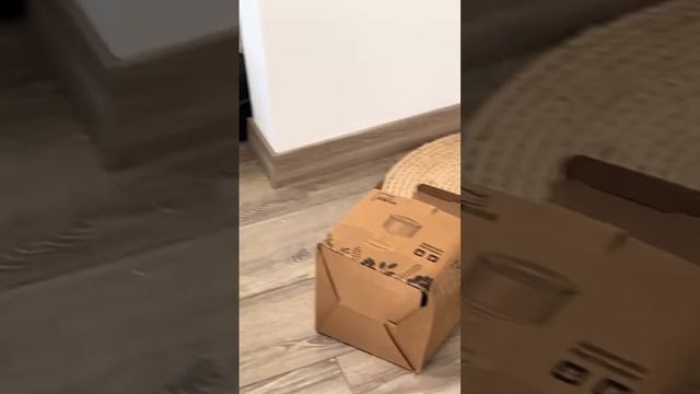 коробка📦 лучше всего😹