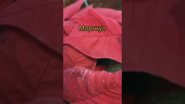 Не проморгайте свою жизнь