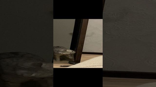 12-12-2024