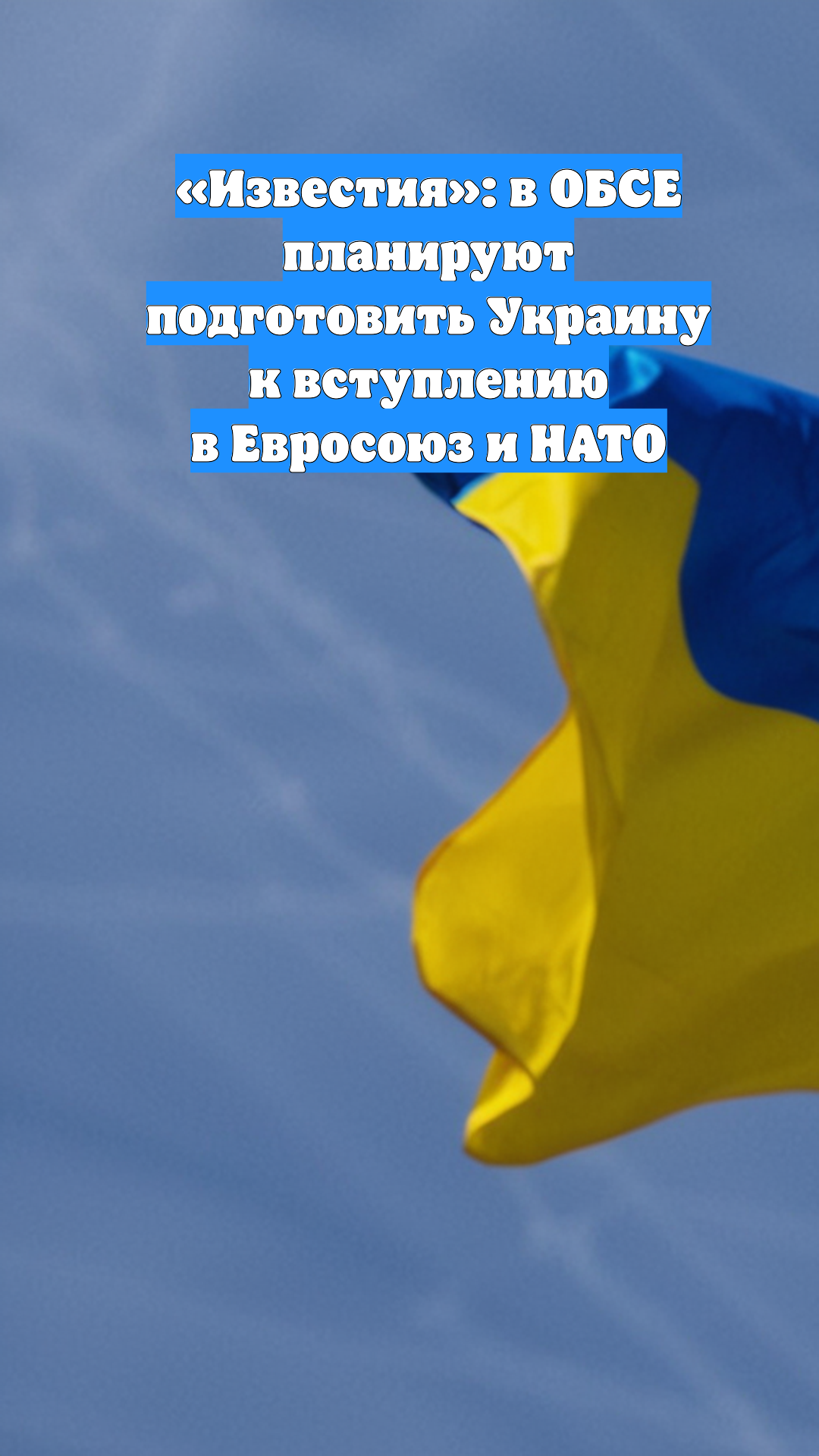 «Известия»: в ОБСЕ планируют подготовить Украину к вступлению в Евросоюз и НАТО