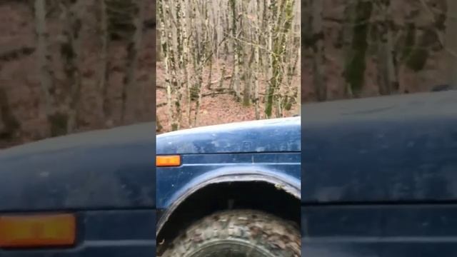 Нива ломает деревья #горы #offroad #горы #природа #mud #природа #бездорожье #нива #rally #4wd #4x4