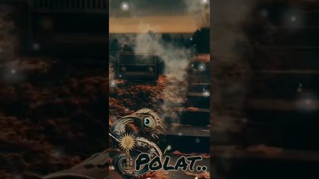 Suto Polat.. -  Shirate amir ( Şîretê émir) !#shorts #yezidi #ezidi #SutoPolat #езиды #video #топ