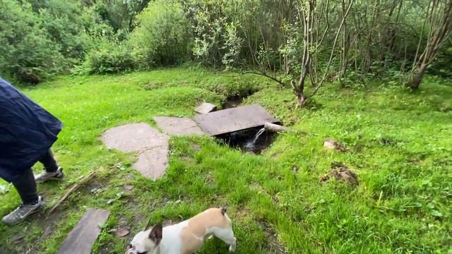 ВЫЖИВАНИЕ В ДЕРЕВНЕ | ПОПОЛНЯЕМ ЗАПАСЫ ЕДЫ И ВОДЫ
