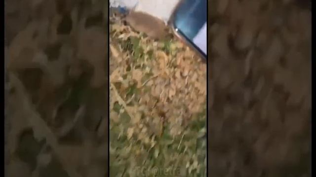 Что тут происходит