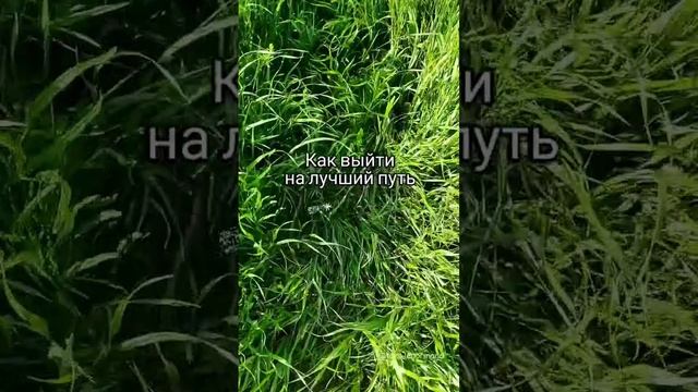 Основное всегда - наше наполненное состояние, это то, что освещает и меняет любой путь 🏞️ #гармония