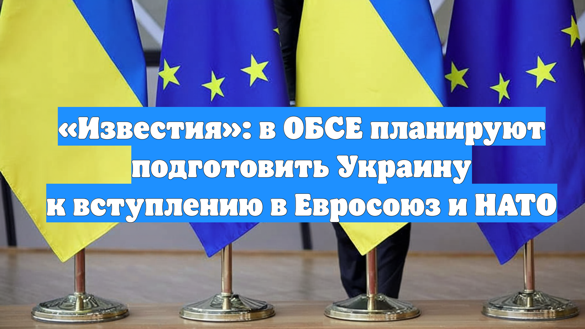 «Известия»: в ОБСЕ планируют подготовить Украину к вступлению в Евросоюз и НАТО