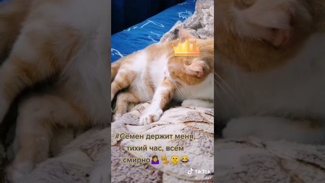 12.12.24/спим и спим!