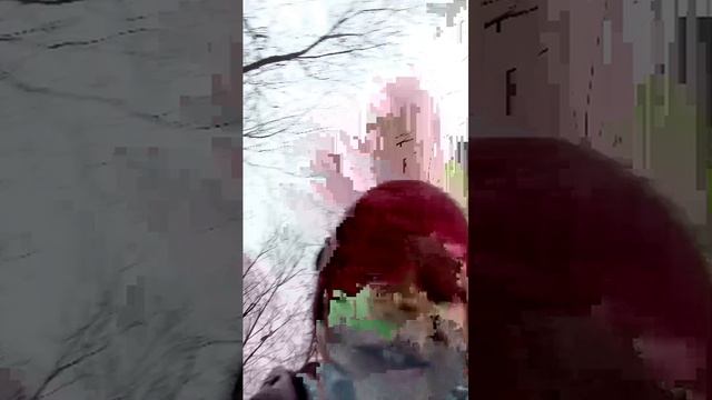 Идём в школу третий день