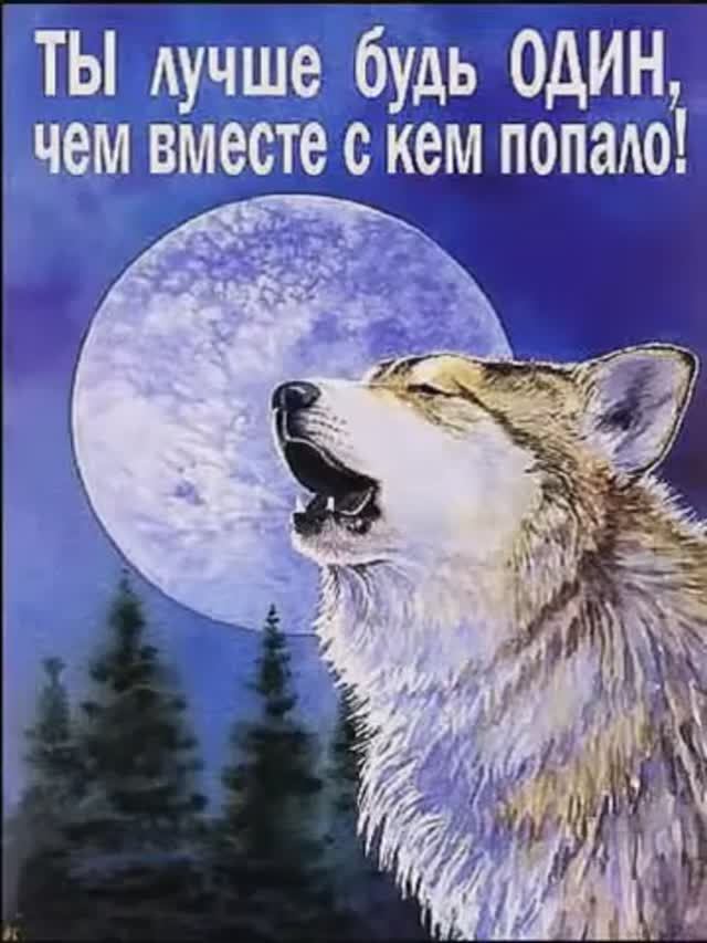 сколько лет сколько зим я один