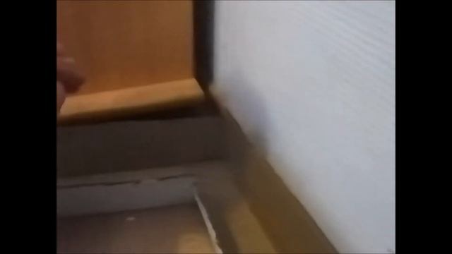 лабиринт для хомяка