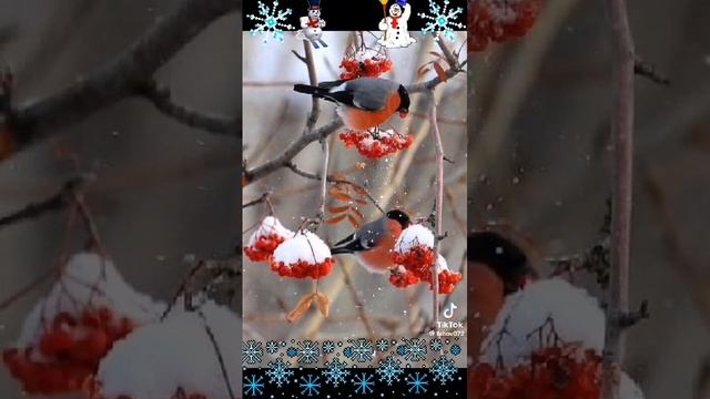 Отдохнуть душой