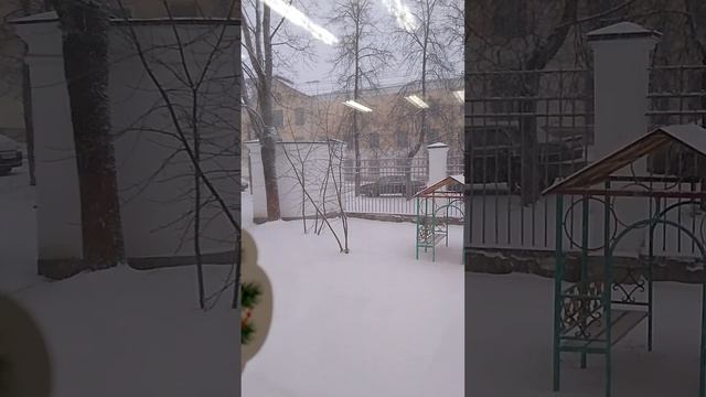 Метель идёт к новому году!!!!!! 12.12.2024