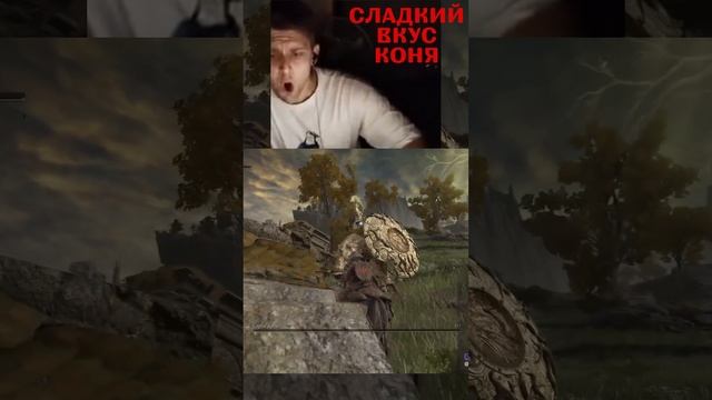 Эмоции от КОНЯ! Elden Ring!
