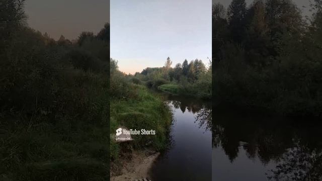 Осень... речка...Хуторок Заречный.Жизнь в лесу на берегу речки.#shorts