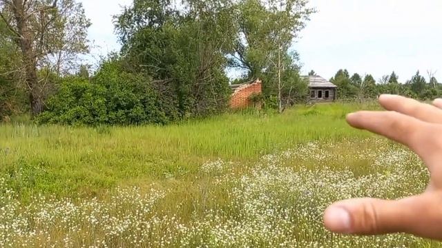 Копнул так,что за трактором пришлось идти. Красивые места на брошенной деревне и снова серебро!