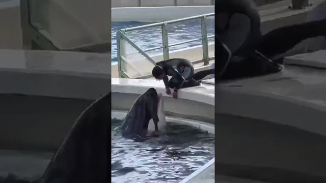 какая милота🥰