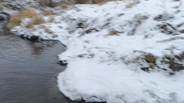 идёт декабрь речка ещё не замёрзла 🥶 и утки 🦆 летают.