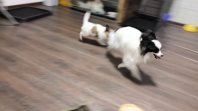 1000005351.mp4