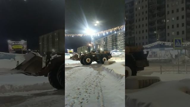 2024-12-12-143745244.mp4 Елена Дружиненко Труженики Заполярной Воркуты