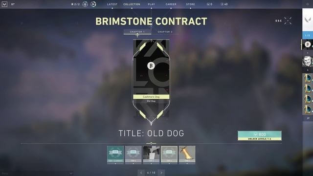 Valorant - Old Dog Title showcase
