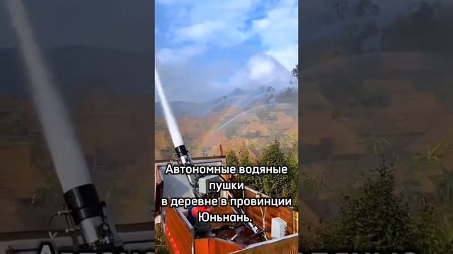 Интересные факты