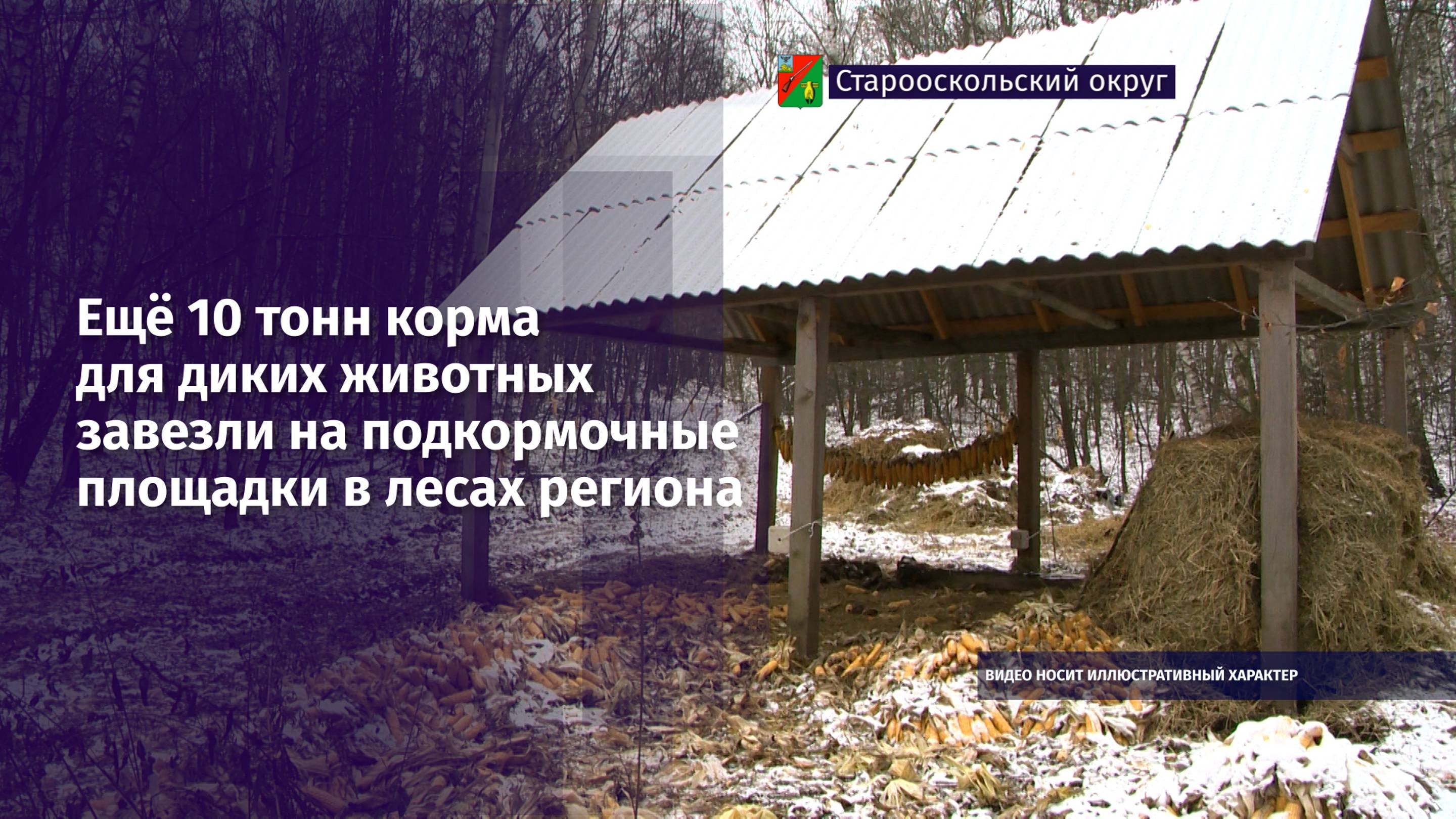 Ещё 10 тонн корма для диких животных завезли на подкормочные площадки в лесах региона