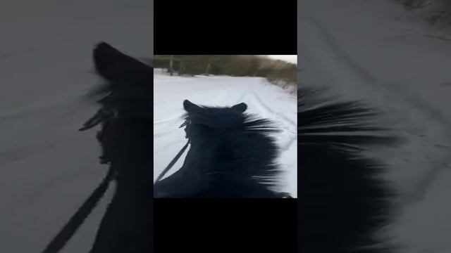 1000188420.mp4