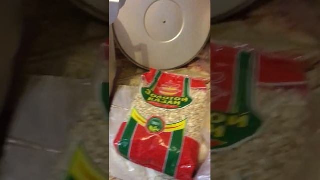 Как и чем кормить собак и кошек
