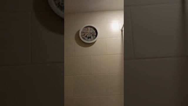 Чмо пилит 12.12.24 /19:30