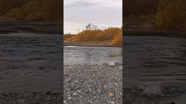 Поход у рыбаков за форелью прошёл на все 100%!